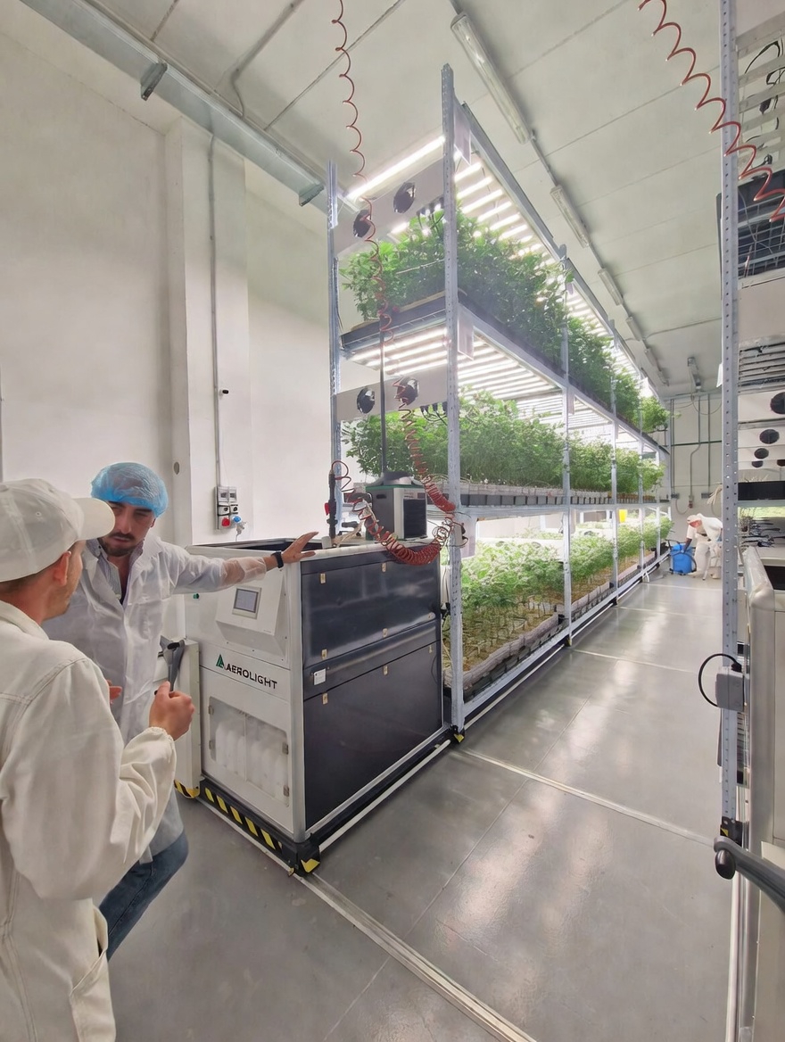 Vertical farm canapa terapeutica – vista interna