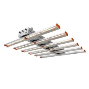 PHYTOLITE – RESINA Q-BAR 500