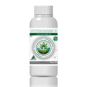HYDROBASE B