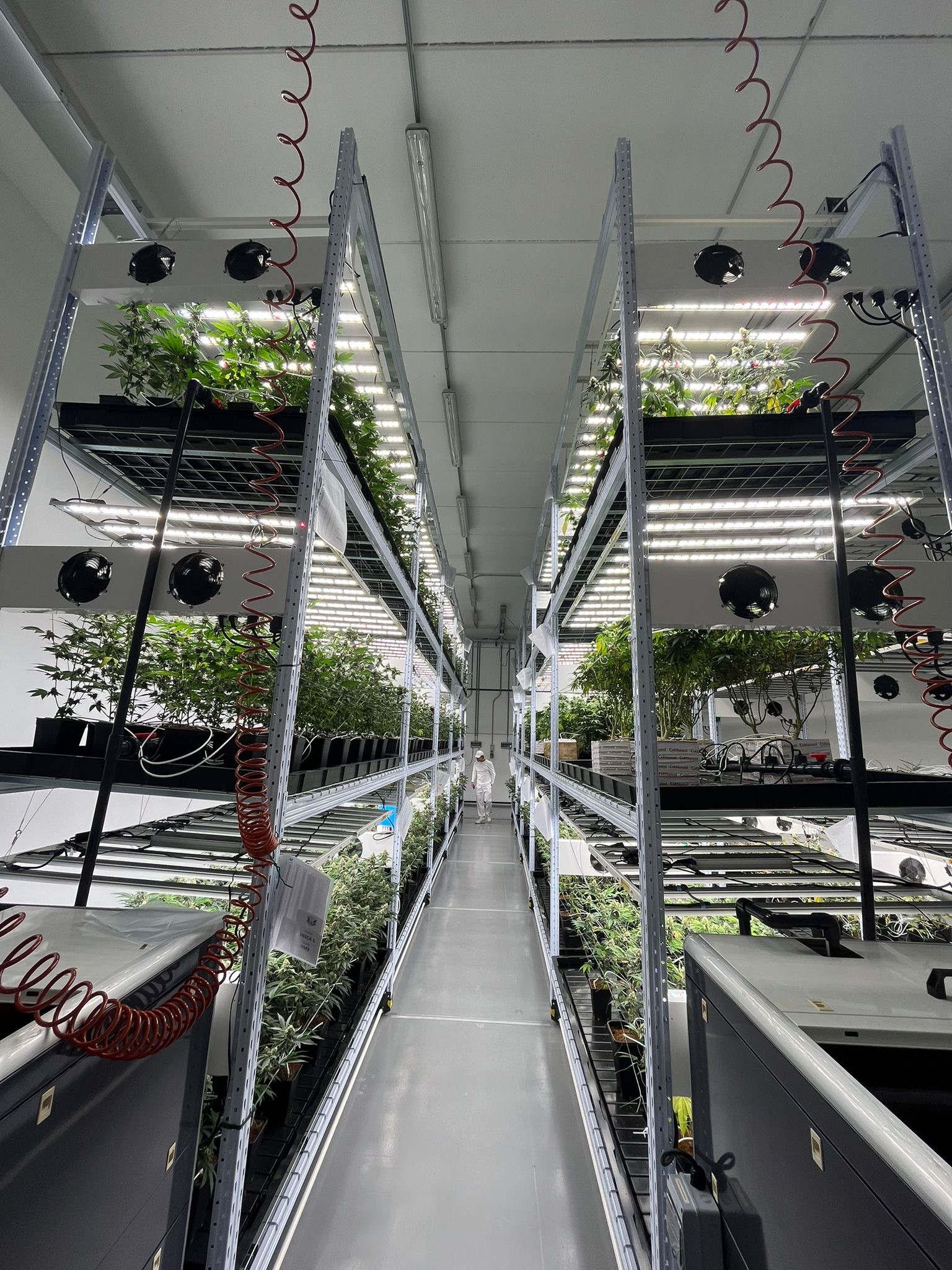 Vista generale dell’impianto del progetto Heath Farm Srl