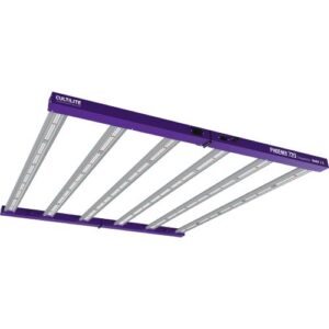 CULTILITE - PHOENIX 720 - 3.2 µmol/J