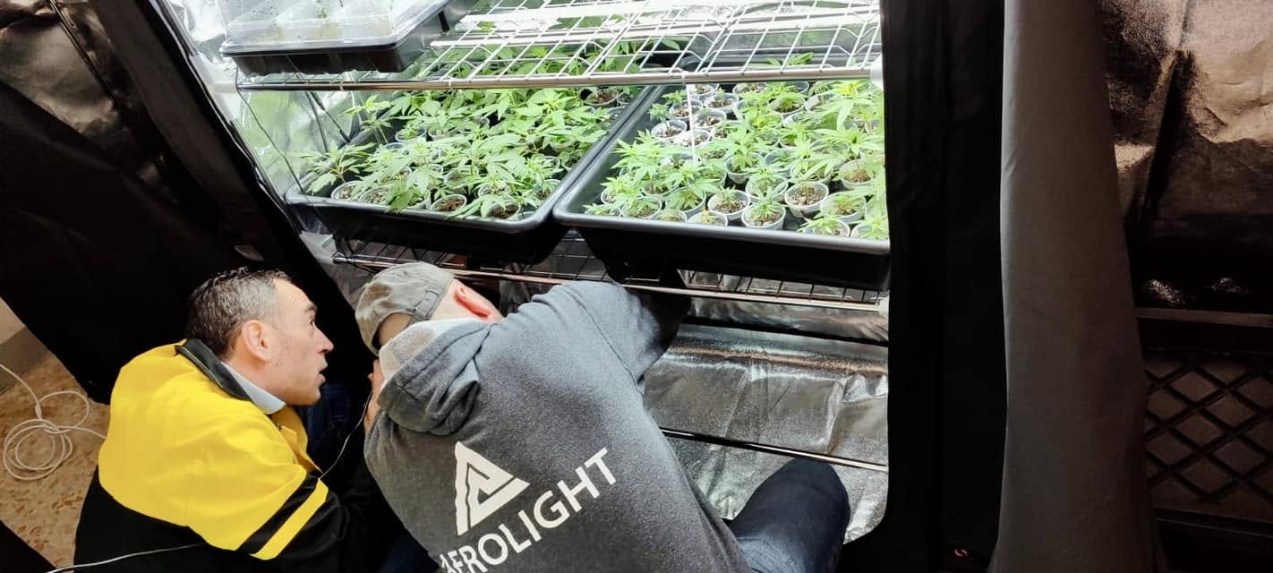 Università di Firenze – laboratorio di coltivazione