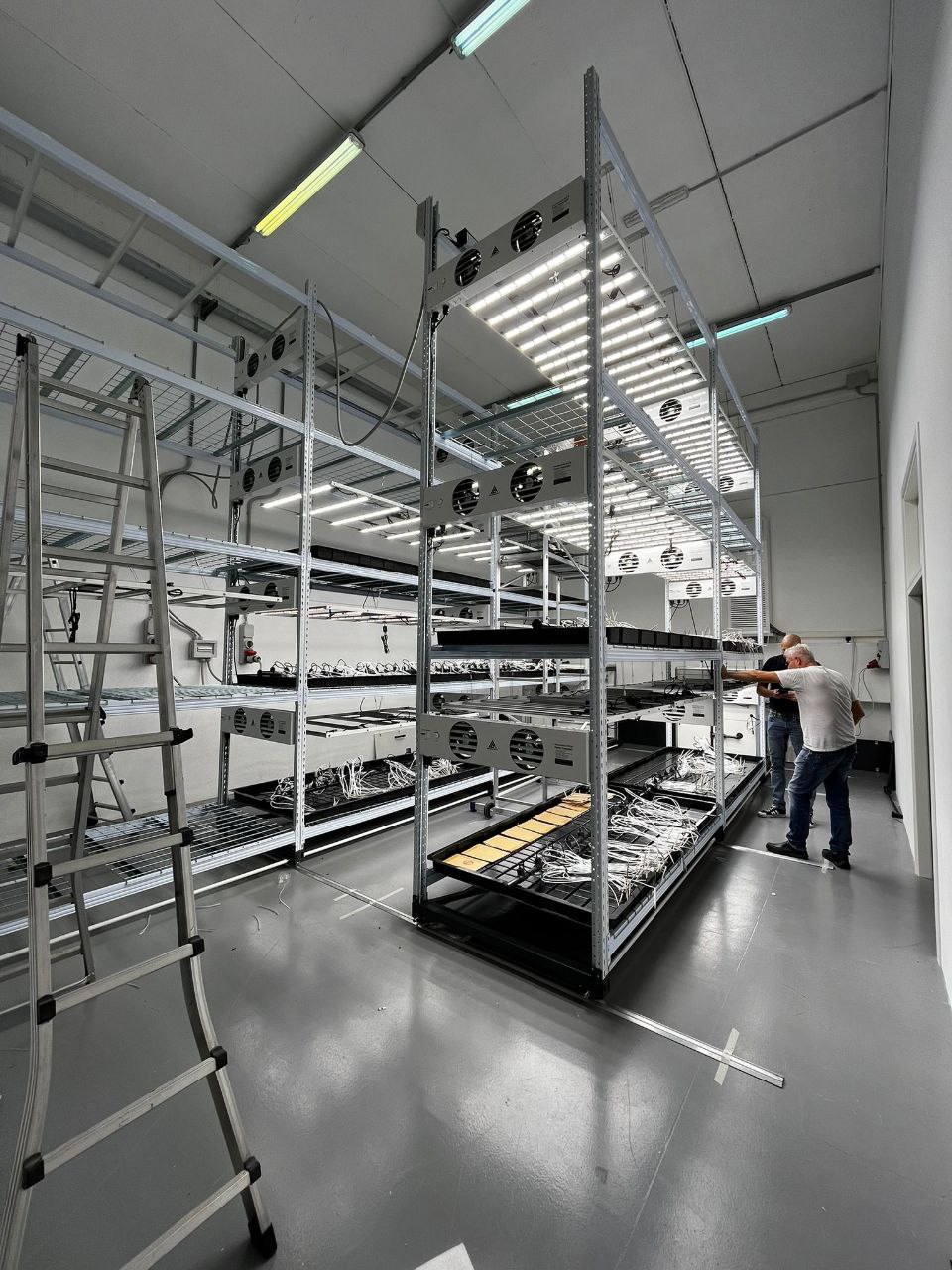 Nursery delle talee del progetto