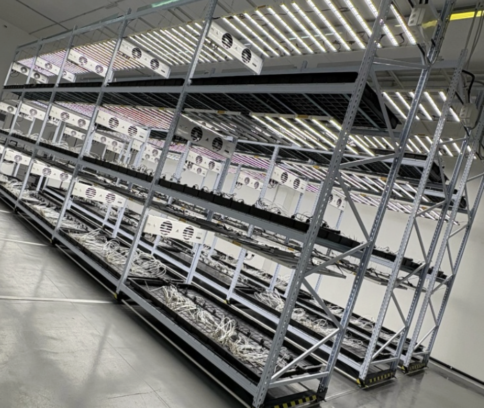 Vista dell’impianto di vertical farming del progetto a San Marino